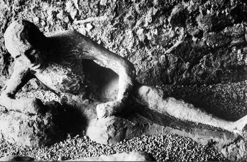 صخور..صور pompeii-victim-50657