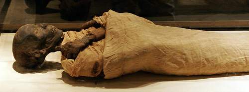 رد: قصة اكتشاف جثة الفرعون