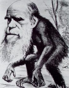 نقد نظريات التطور