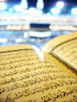 المناسبة بين الأبنية المتماثلة في القرآن الكريم دراسة في دلالة المبنى على المعنى