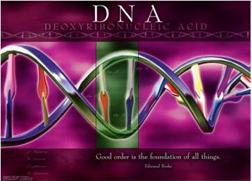 الشيفرة الوراثية سر الحياة الأعظم