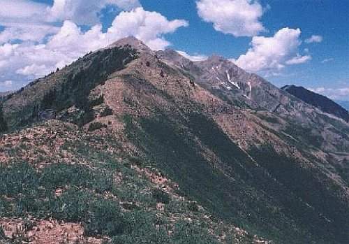 ✿ جبل نيبو " الكثيب الأحمر ✿